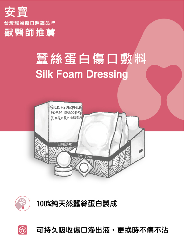 Silk Foam Dressing