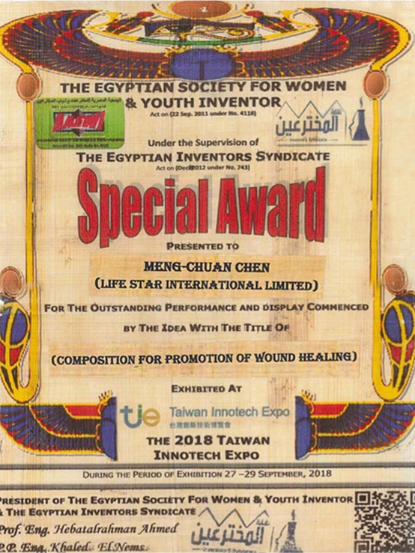 Special Award